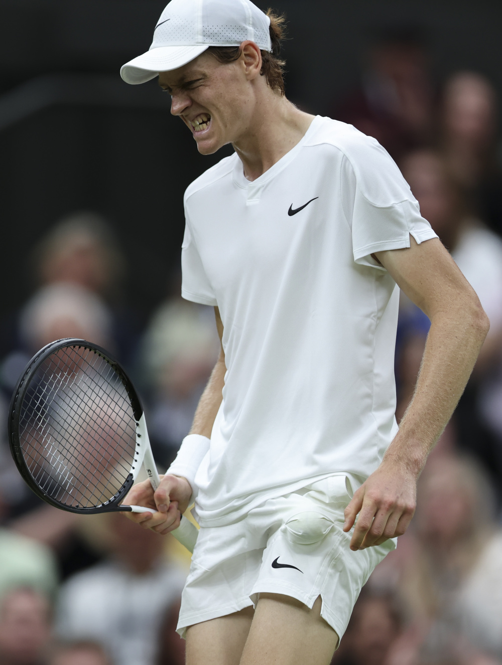 子拳击界新 子拳击界新