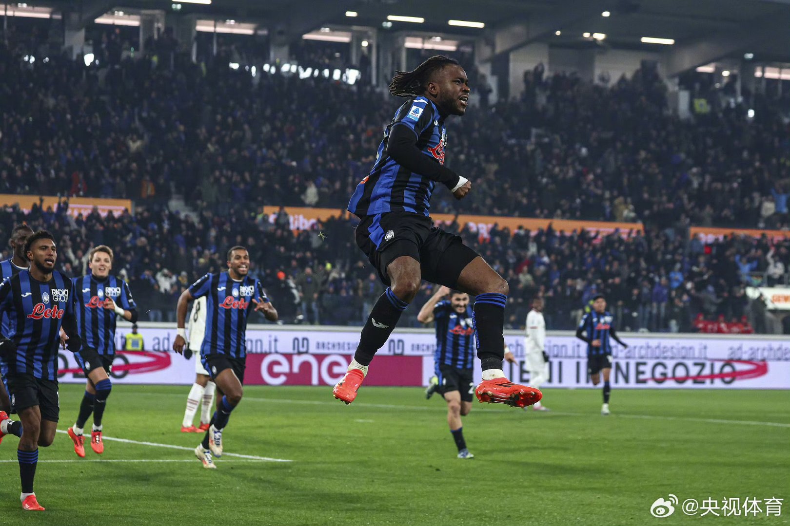 天津津门虎 天津津门虎